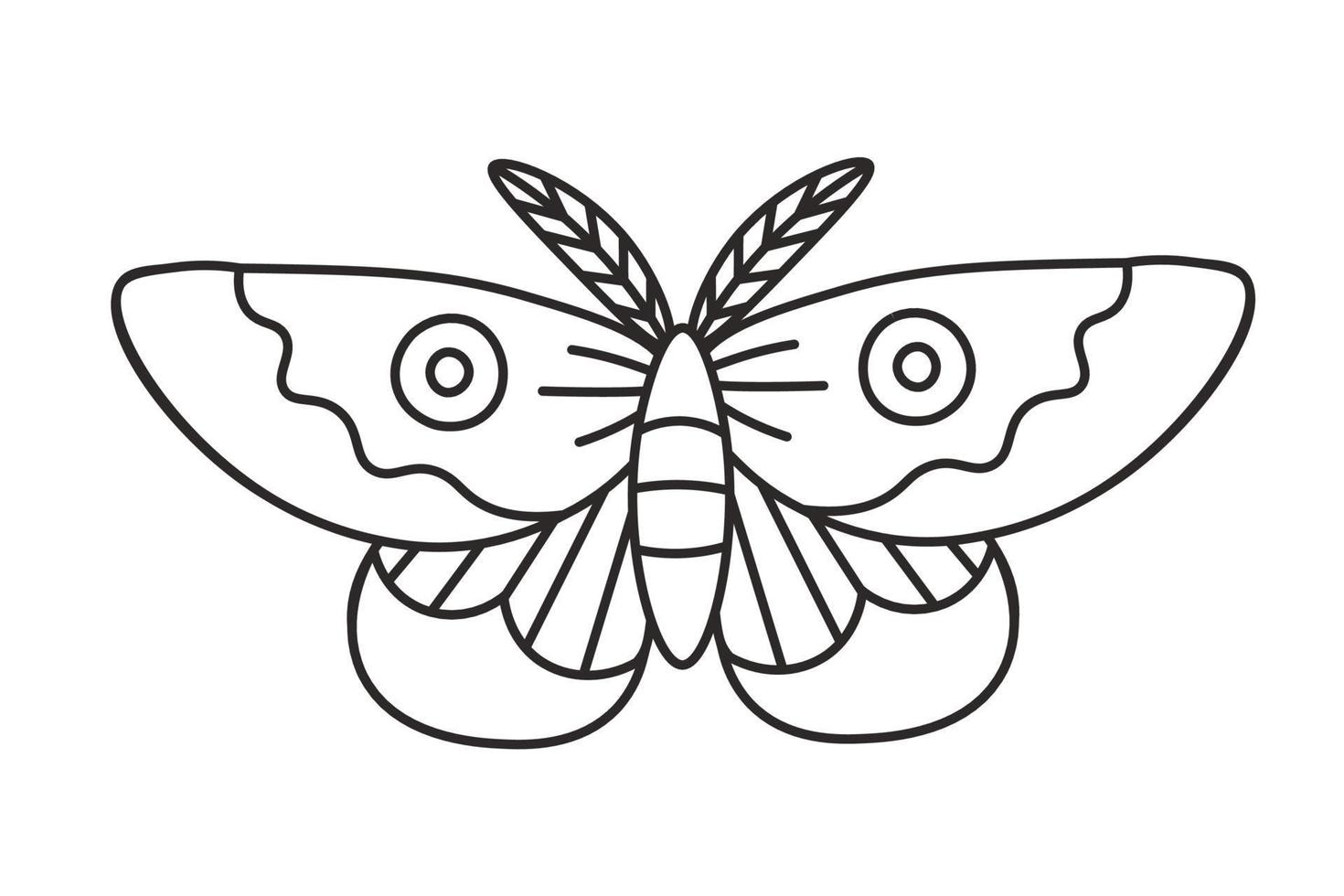 Doodle night moth line art vector