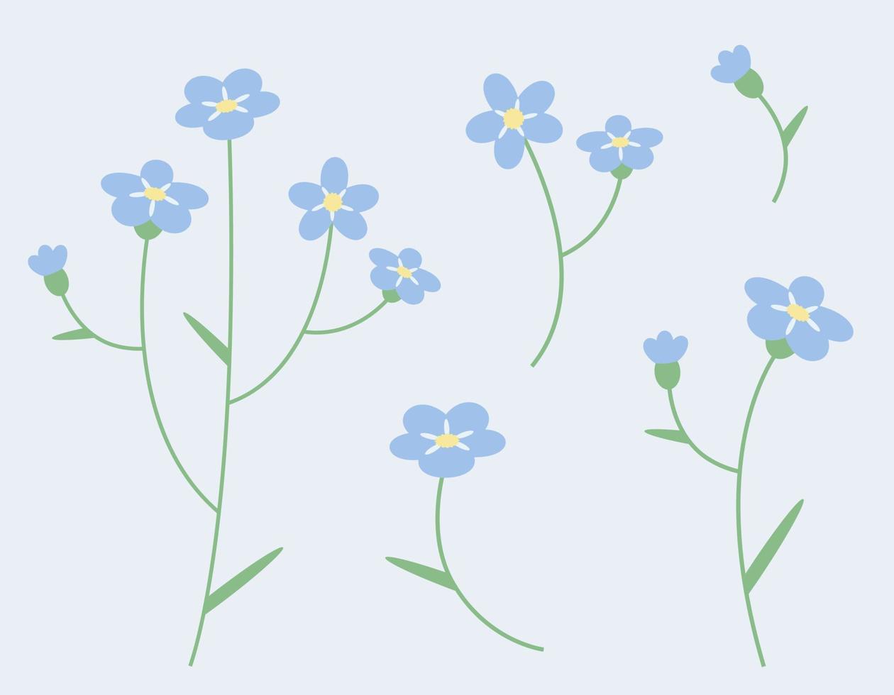 conjunto de elementos de diseño de miosotis. flores silvestres en estilo plano. vector