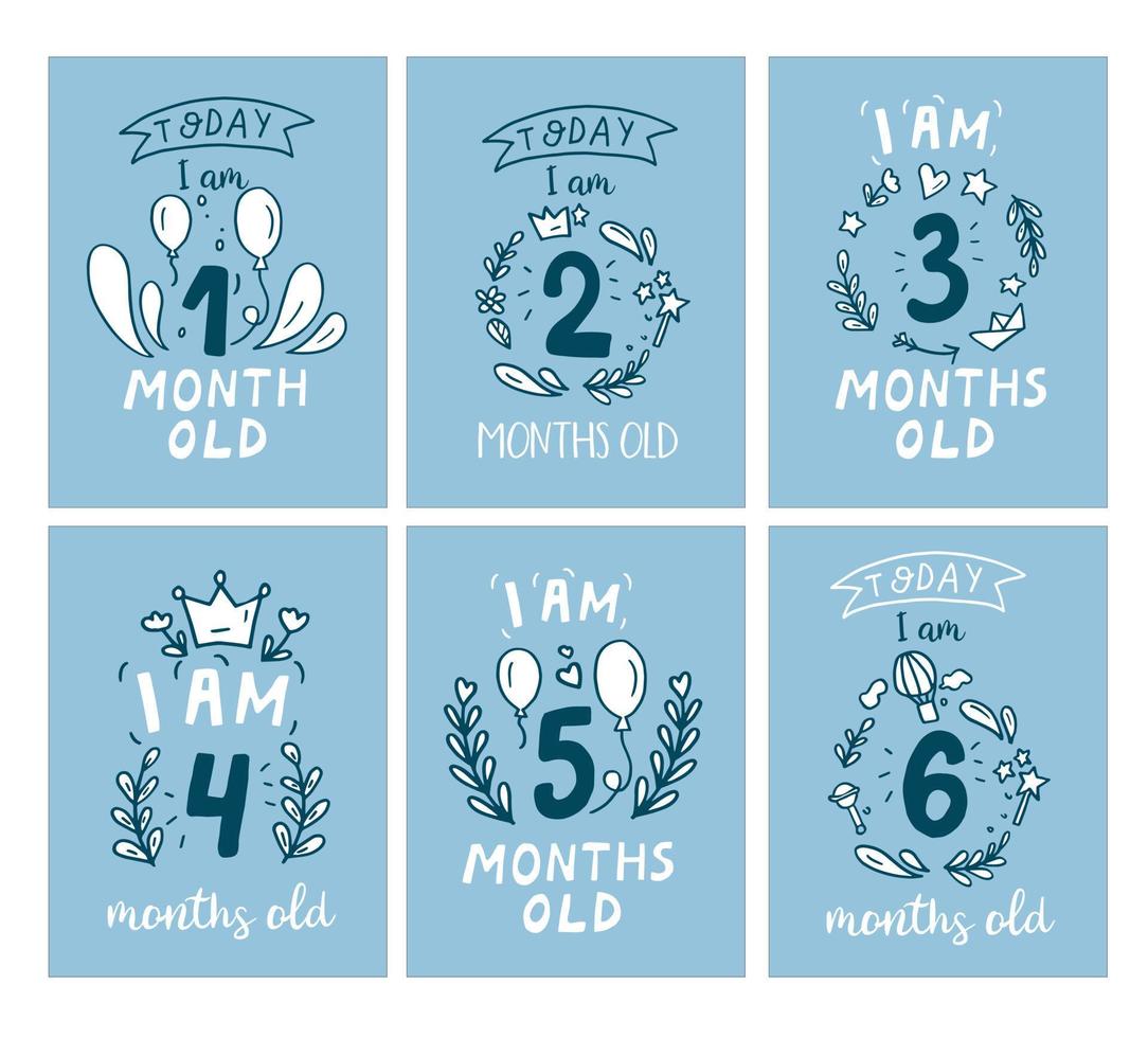 Baby Milestone cards vector