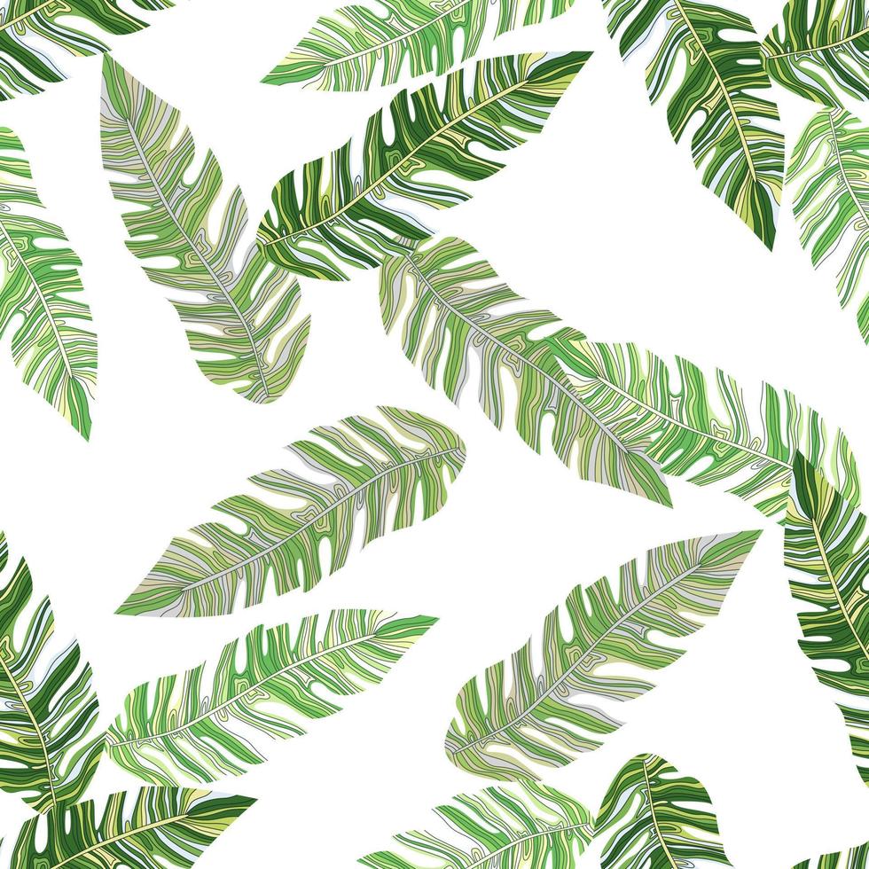 Graphic exotic plant foliage seamless pattern. Tropical pattern, palm leaves seamless floral background. Leaf wallpaper. vector