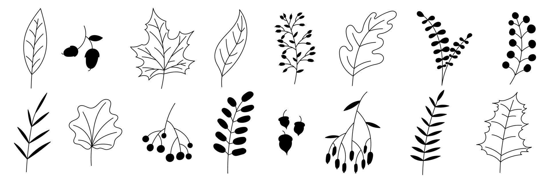 Hand drawn autumn collection with seasonal plants and leaves. Set of hand drawn plants, leaves, flowers. Silhouettes of natural elements for seasonal backgrounds. Vector illustration