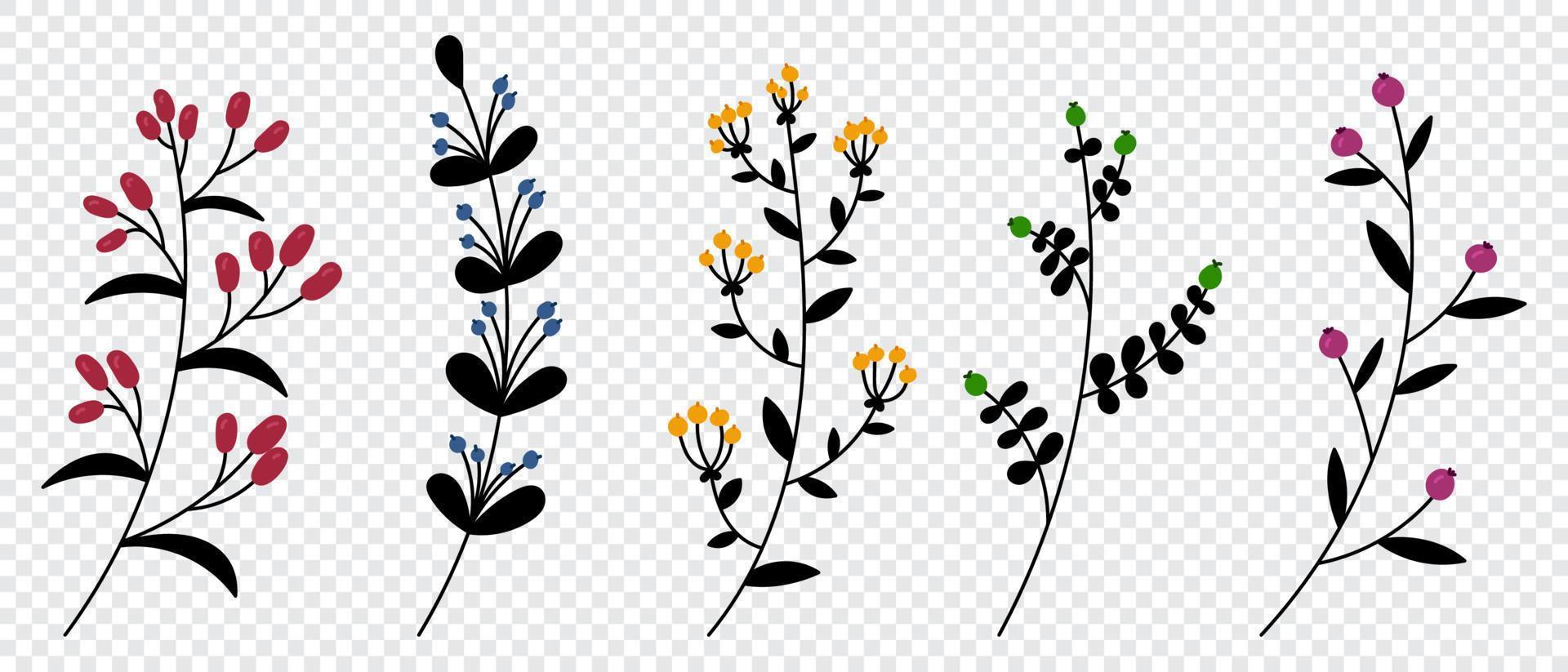 conjunto de plantas y hierbas vectoriales. elementos florales dibujados a mano. siluetas de elementos naturales para fondos estacionales. estilo garabato. ilustración vectorial vector