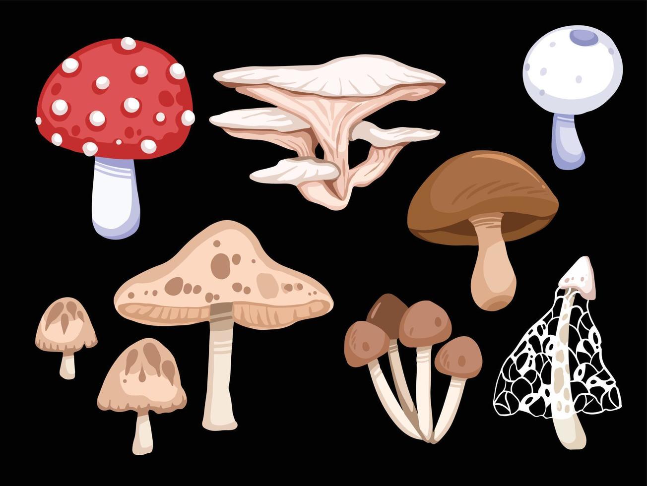 conjunto de ilustración de vector de dibujo de estilo de arte plano de dibujos animados. hongos silvestres, algunos se pueden comer y otros son tóxicos y peligrosos.
