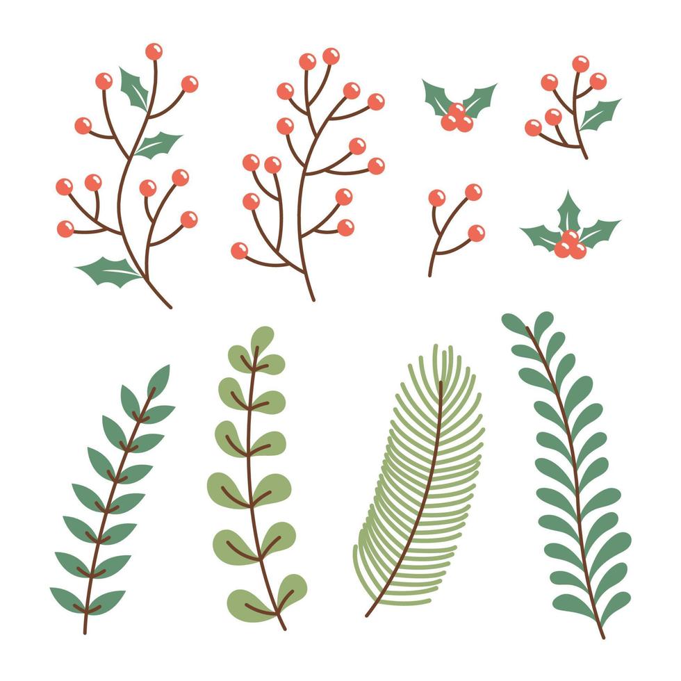 conjunto de hojas de invierno de navidad ilustración vectorial vector