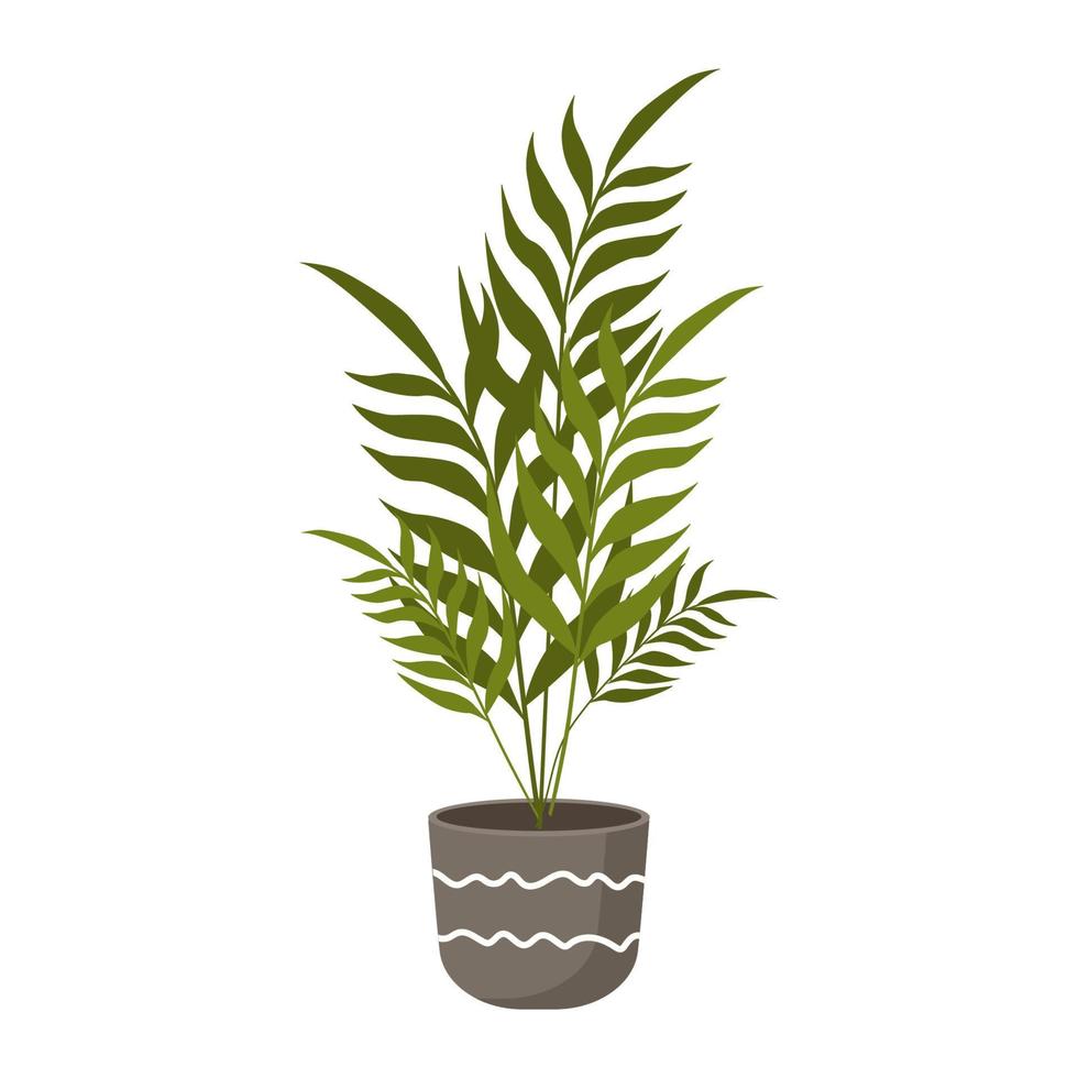 Palm in a pot. Color flat vector illustration. Green plant in a flowerpot on a white background. Flower for home.