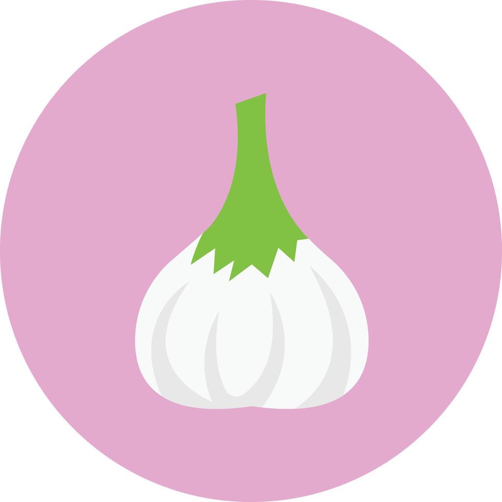 garlic vector illustration on a background.Premium quality symbols.vector icons for concept and graphic design.
