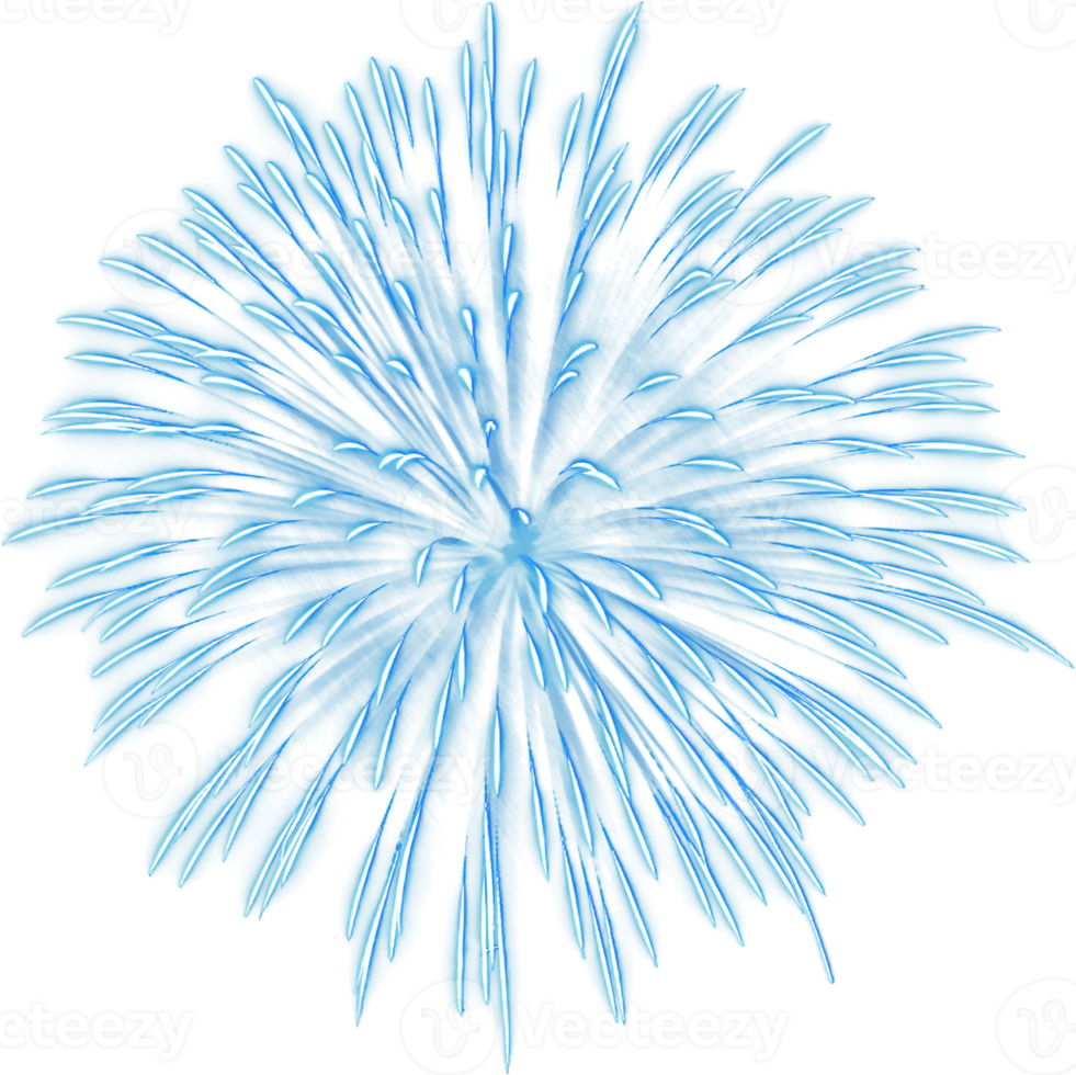 sorprendente bellissimo fuoco d'artificio isolato per celebrazione anniversario allegro Natale vigilia e contento nuovo anno png