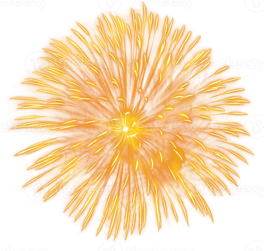 sorprendente bellissimo fuoco d'artificio isolato per celebrazione anniversario allegro Natale vigilia e contento nuovo anno png