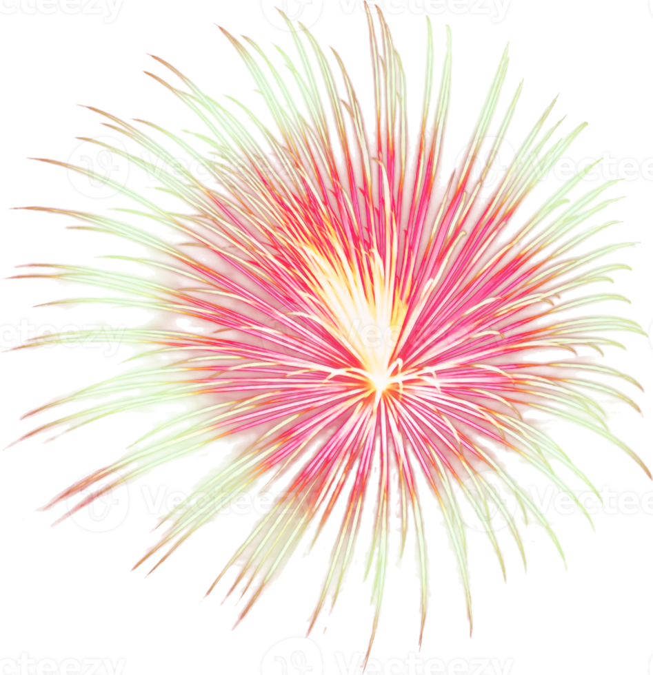 sorprendente bellissimo fuoco d'artificio isolato per celebrazione anniversario allegro Natale vigilia e contento nuovo anno png