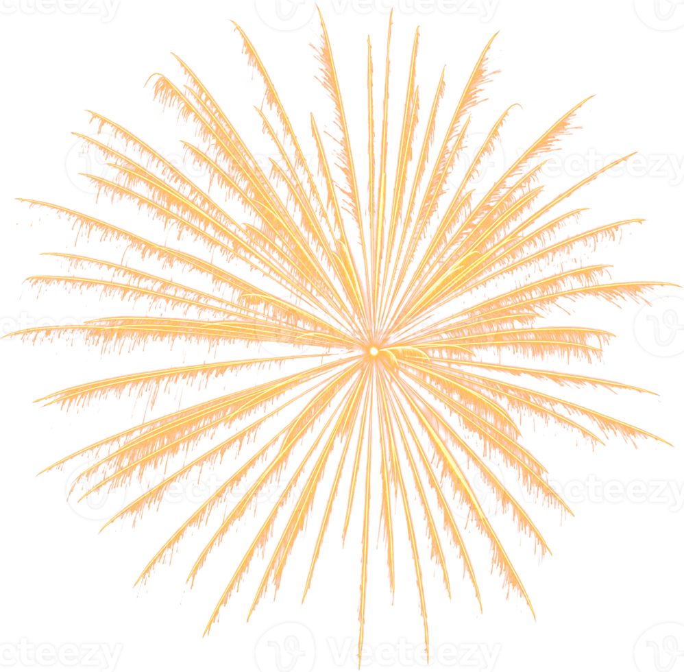 sorprendente bellissimo fuoco d'artificio isolato per celebrazione anniversario allegro Natale vigilia e contento nuovo anno png