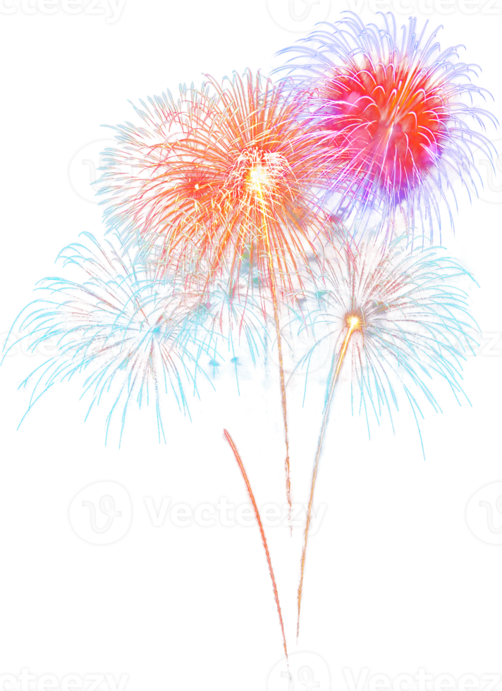 sorprendente bellissimo fuoco d'artificio isolato per celebrazione anniversario allegro Natale vigilia e contento nuovo anno png