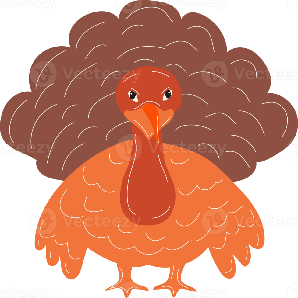 Happy Thanksgiving Day. Cartoon Turkey in a pilgrim hat. png