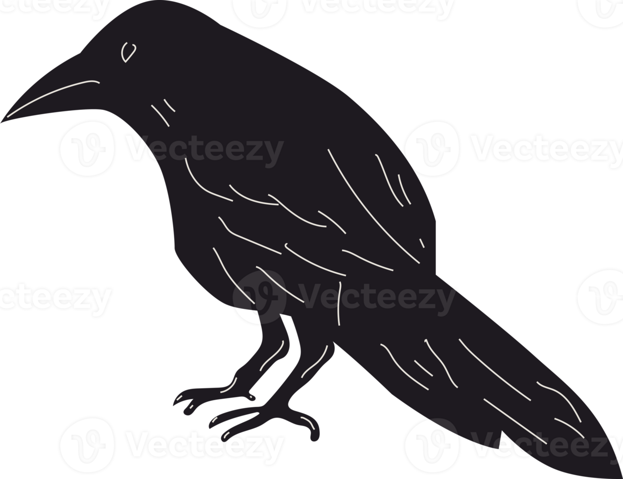 Black Raven or Crow bird. Side view. Cartoon style, flat design. Halloween, horror concept. Hand drawn trendy isolated . Logo, print, design template png