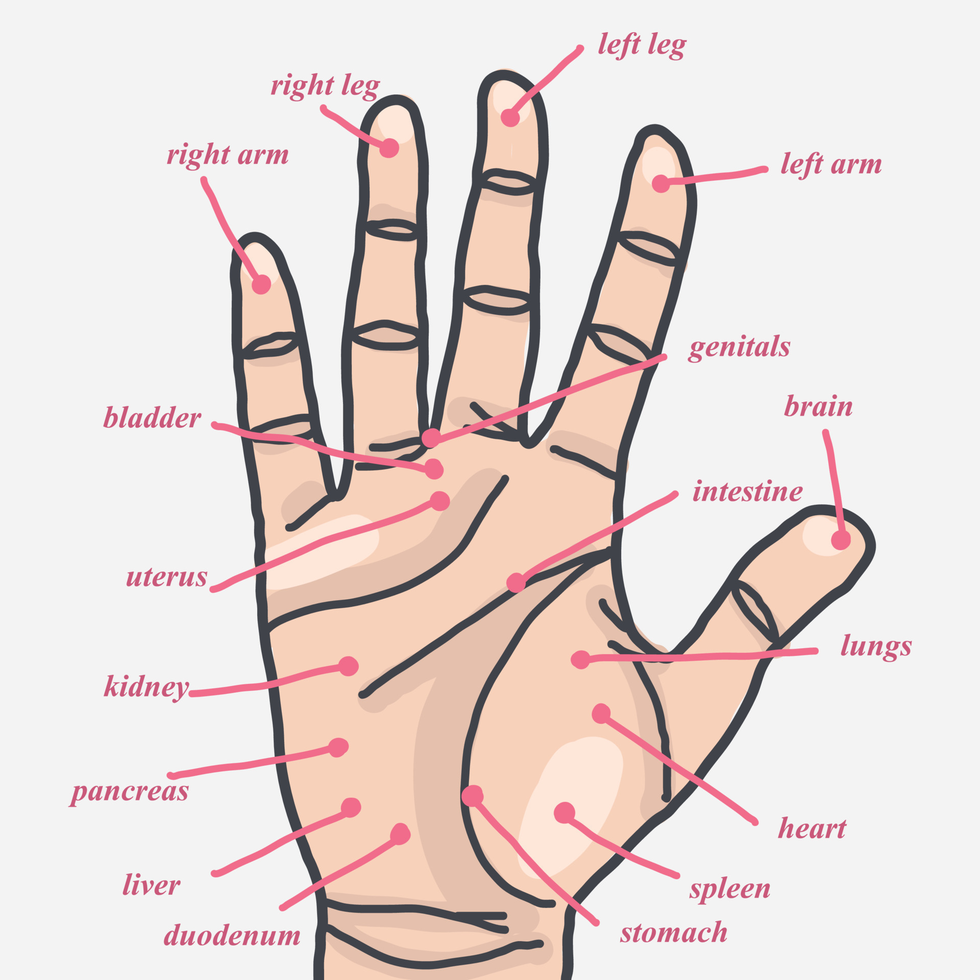 Hand Acupuncture Points 14020131 Vector Art at Vecteezy