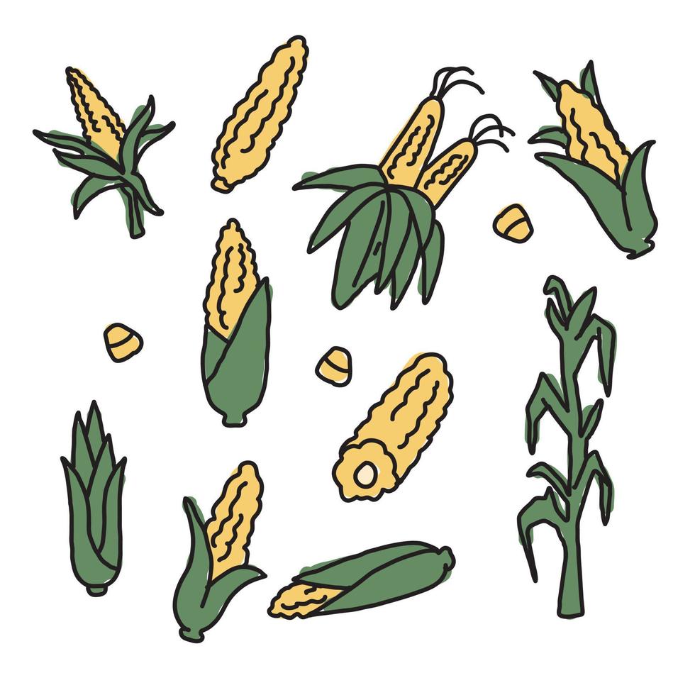 Ilustraciones de corn doodle vector