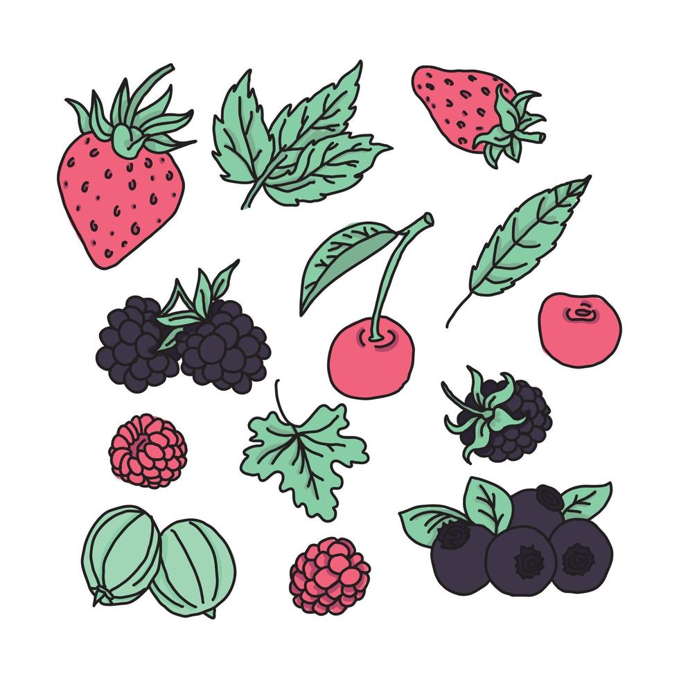 Berry Colorful Drawings vector