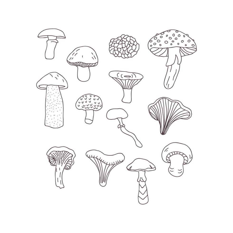 Thin Mushroom Doodles vector