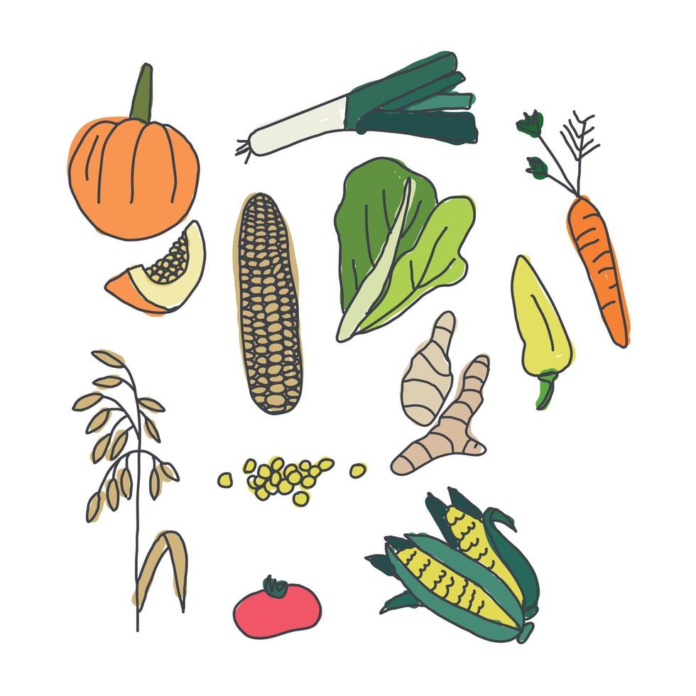 Collection of Doodled Fruits and Plants vector