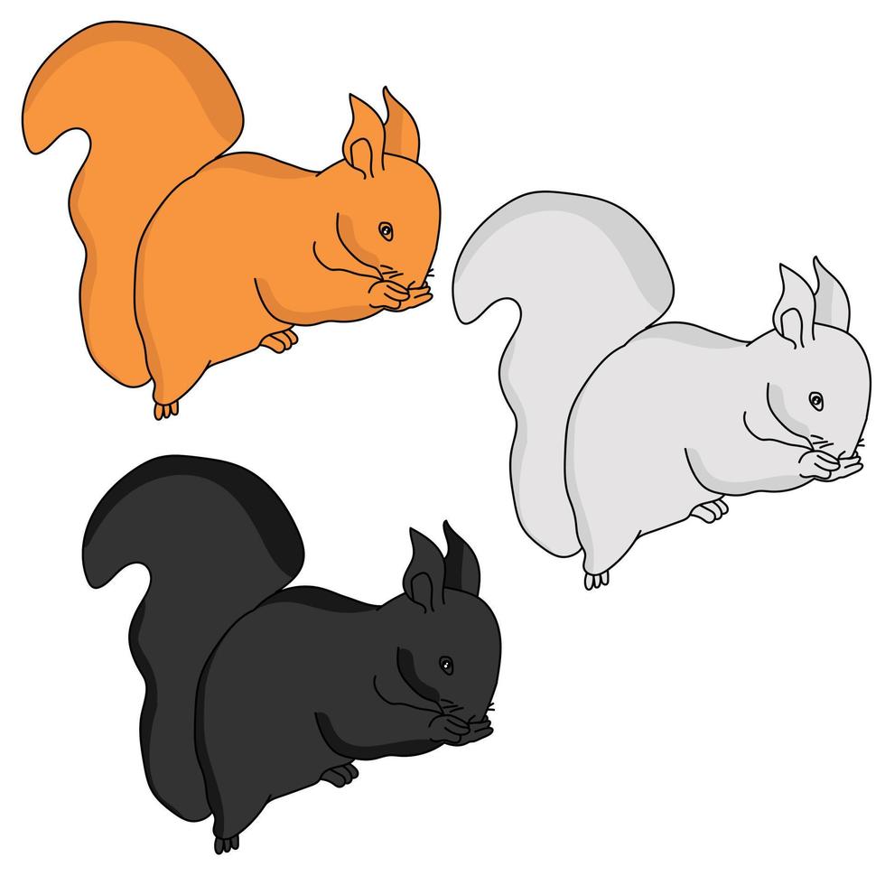 Three squirrels red, white and black, an animal with a fluffy tail vector