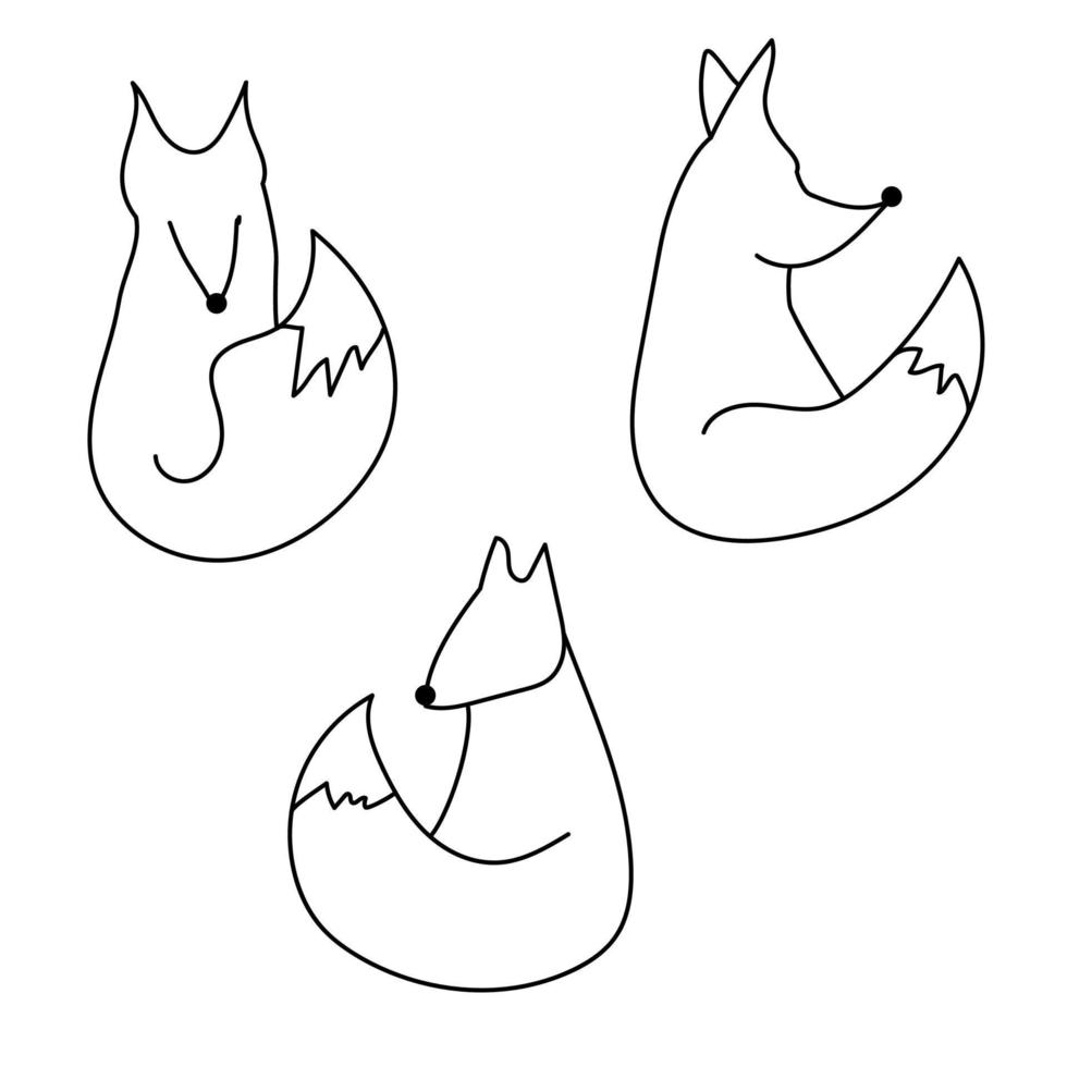 Outline vector fox illustration, foxes set for creativity and design