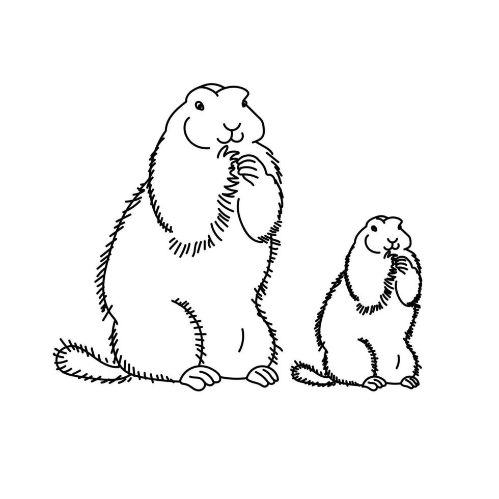 familia de marmotas de pie sobre sus patas traseras. día de la marmota, página para colorear para niños sobre el mundo de los animales vector