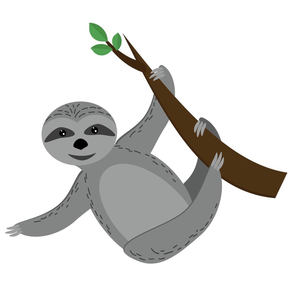 Sloth hanging on a branch, cute sleepy gray animal in flat style, woody animal in nature vector