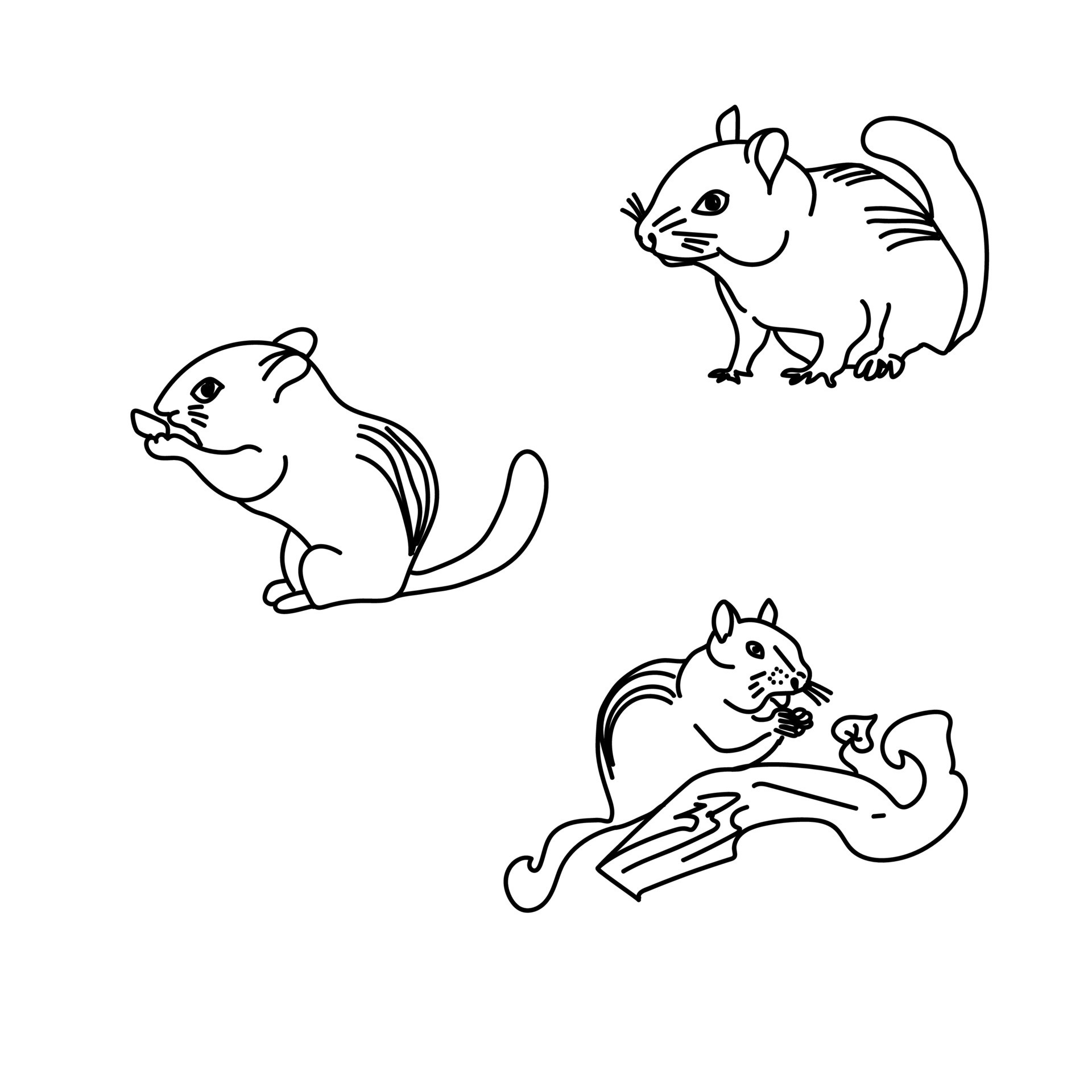 Set of outline chipmunk,, hand draw vector illustration, cute animal line  art 14020339 Vector Art at Vecteezy