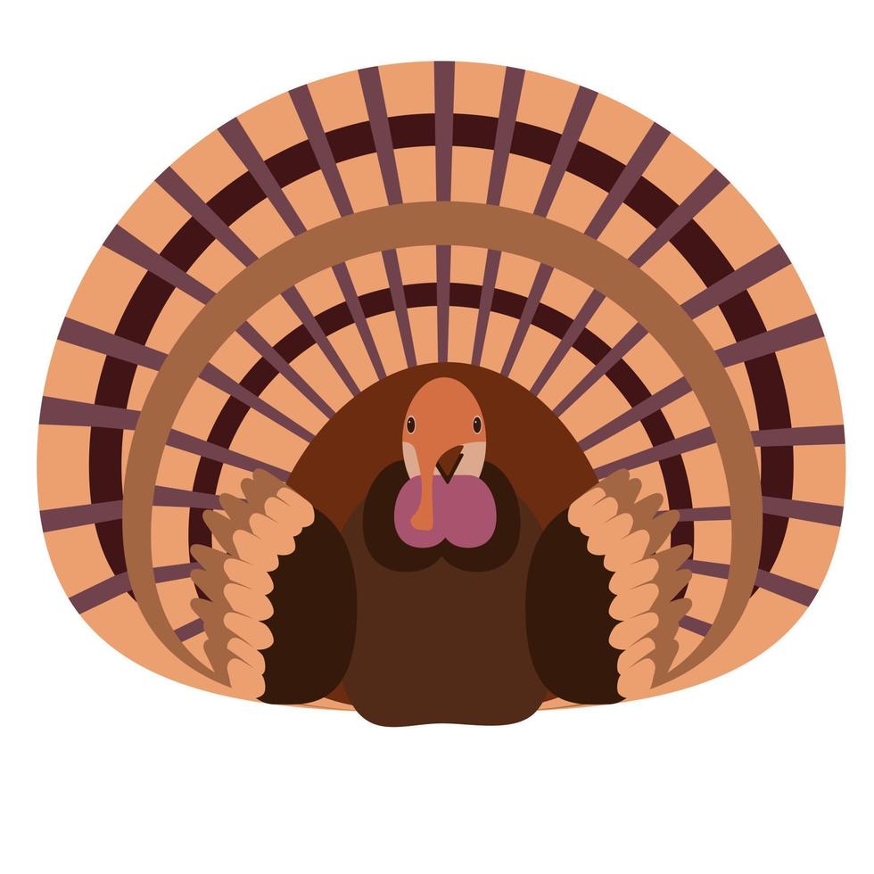 Turkey in flat style, bird symbol of thanksgiving day, brown farm animal vector