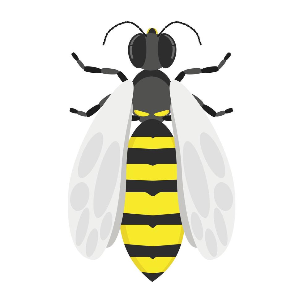 Wasp, a stinging striped insect with light wings, a symbol of strength and aggression, a flying insect with yellow stripes vector