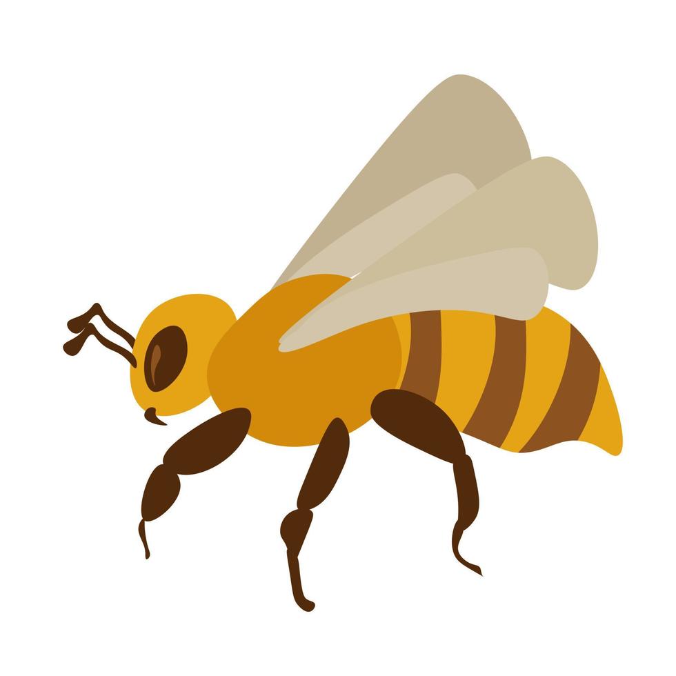 abeja de estilo plano, insecto rayado útil, abeja melífera en vuelo vector