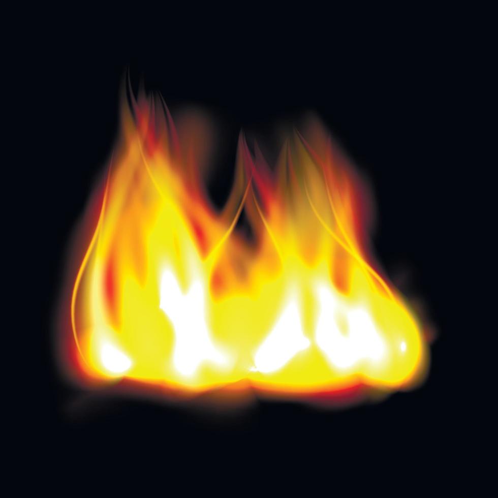 Realistic fire flame vector
