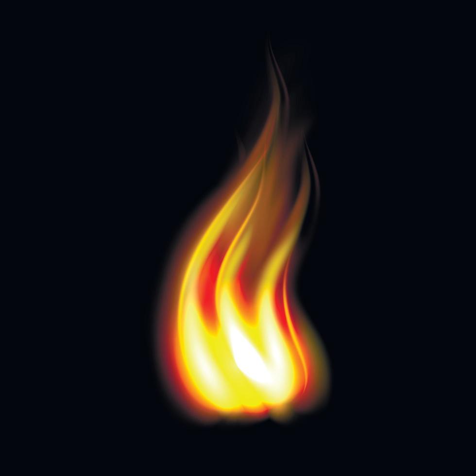 Unique realistic fire flame vector