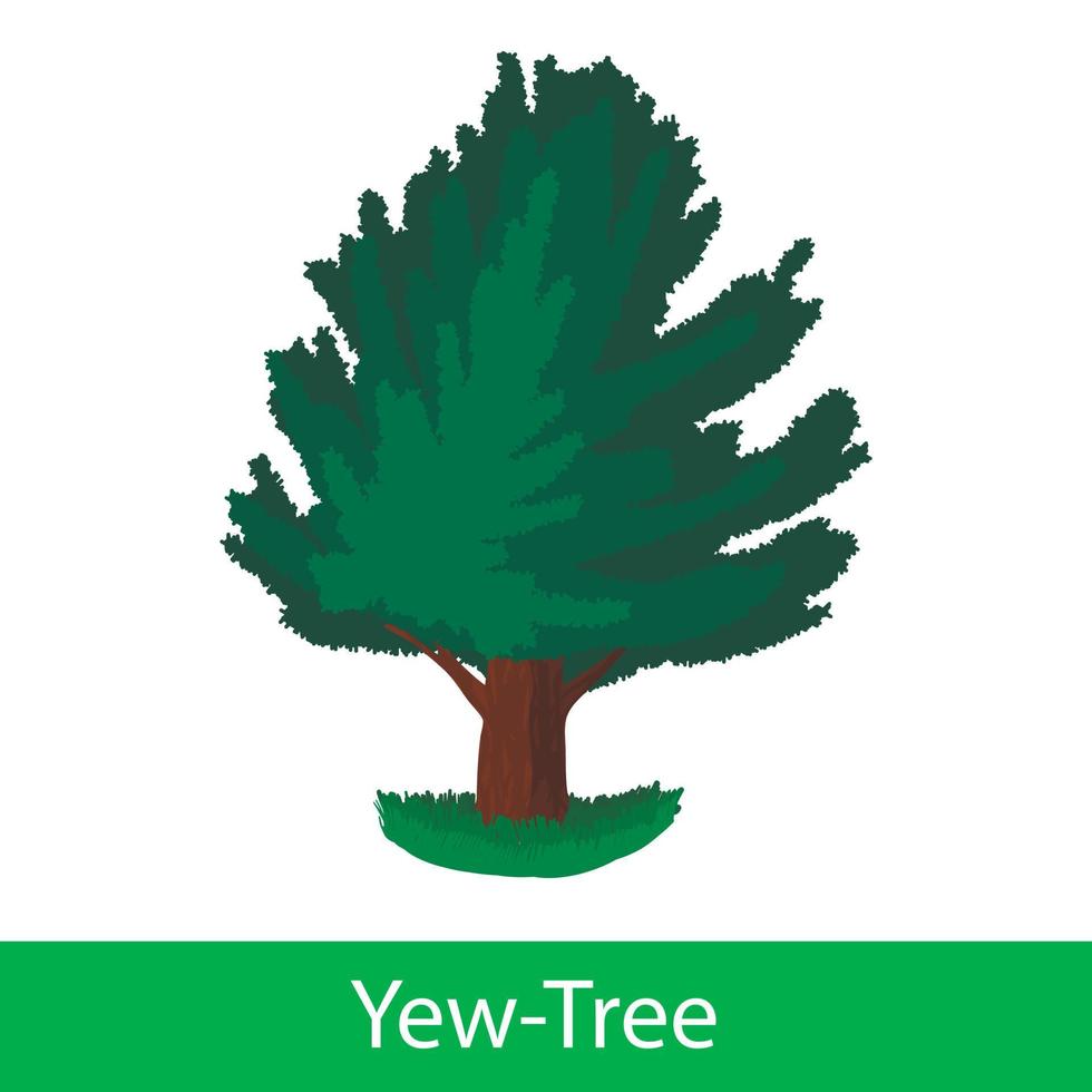 icono de dibujos animados de árbol de tejo vector