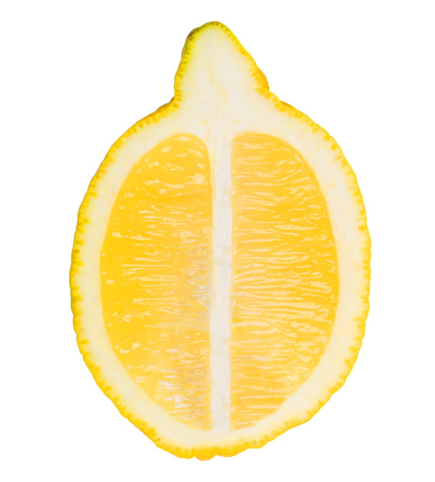 geschnittene Orangenfrucht png