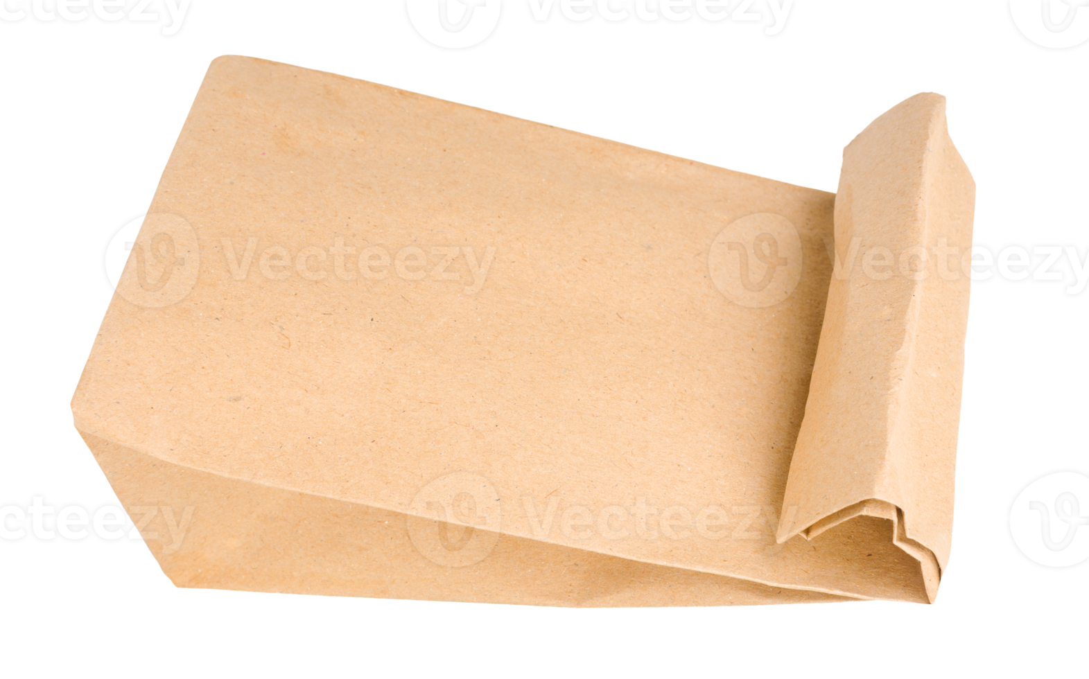 brown paper bag png