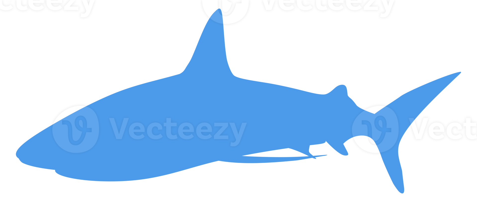 Shark Silhouette for Logo, Pictogram, Website, Art Illustration, Infographic, or Graphic Design Element. Format PNG