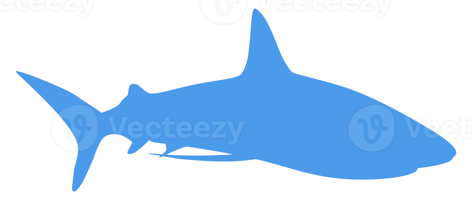 Shark Silhouette for Logo, Pictogram, Website, Art Illustration, Infographic, or Graphic Design Element. Format PNG