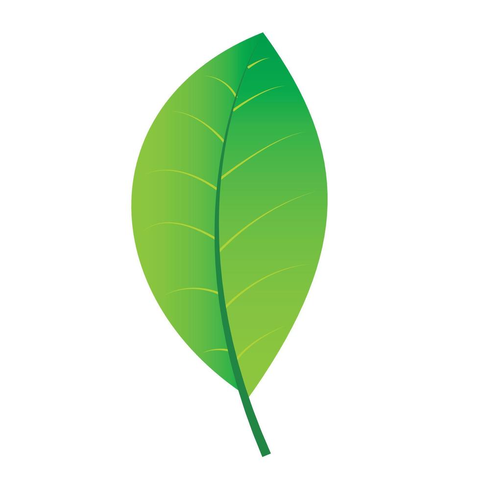 icono de hoja verde vector