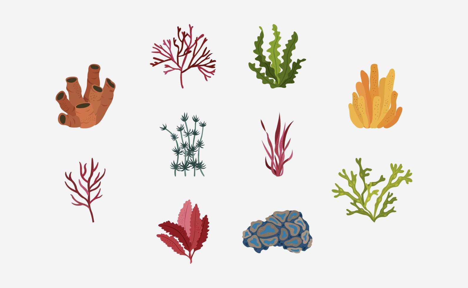 vector de plantas marinas en diseño plano