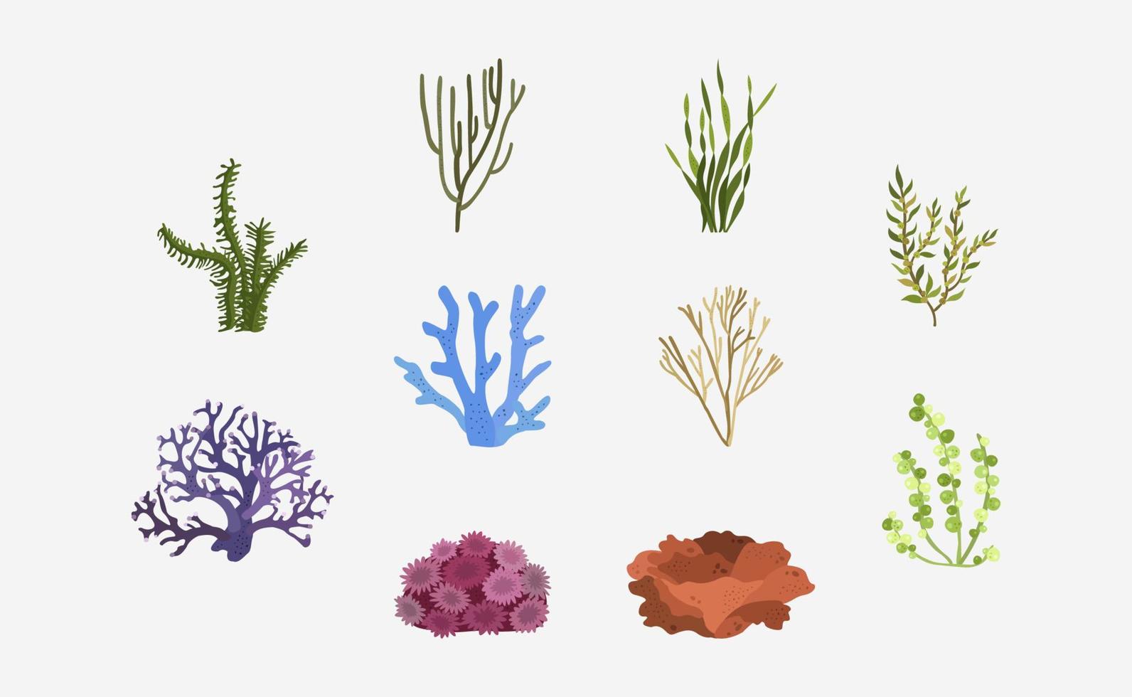 vector de plantas marinas en diseño plano