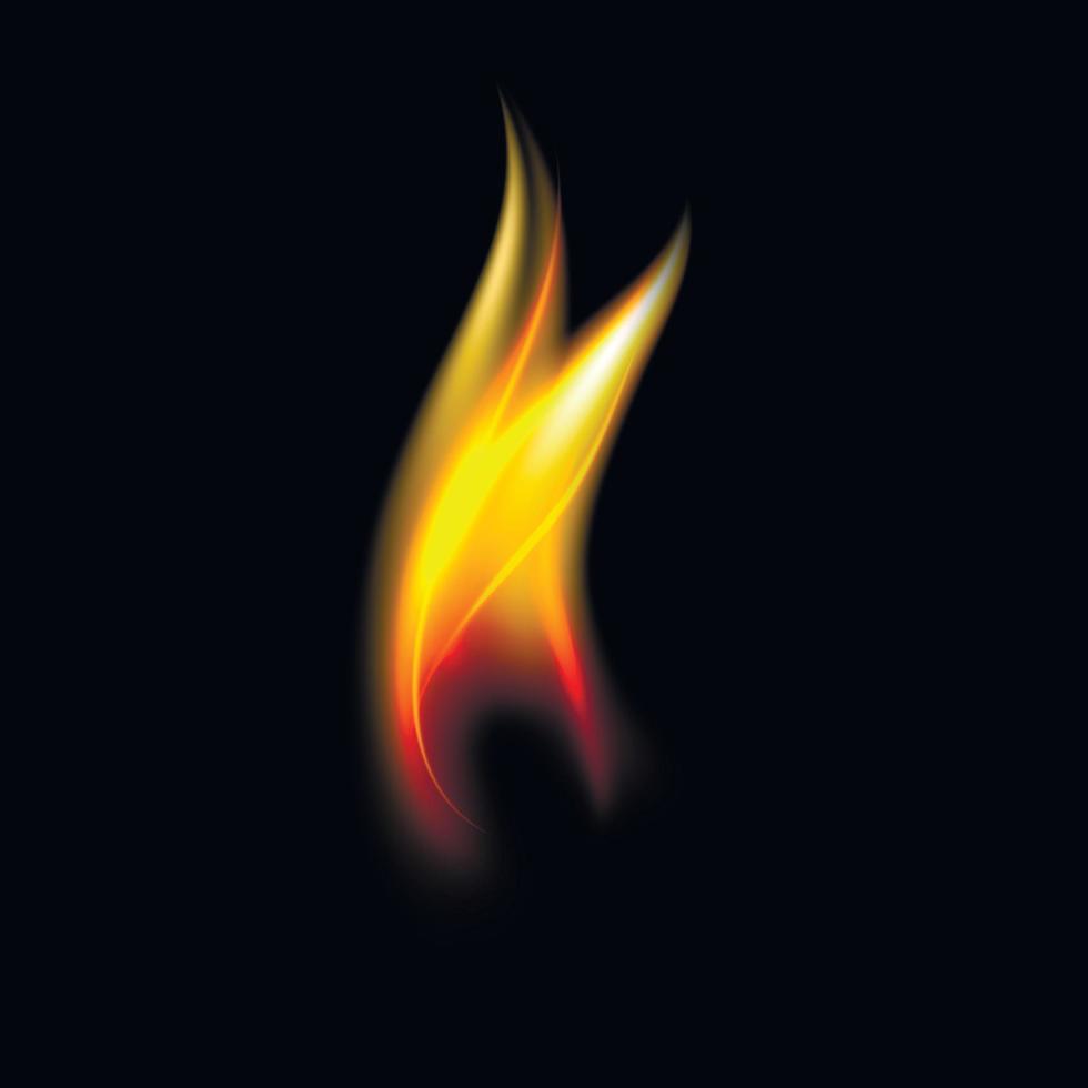 New fire flame vector