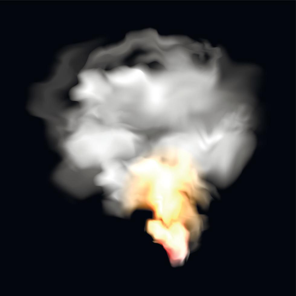 Smoke and fire realistic icon vector