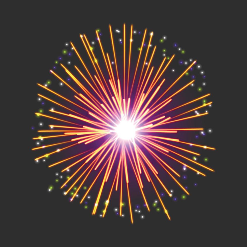 New firework sign vector