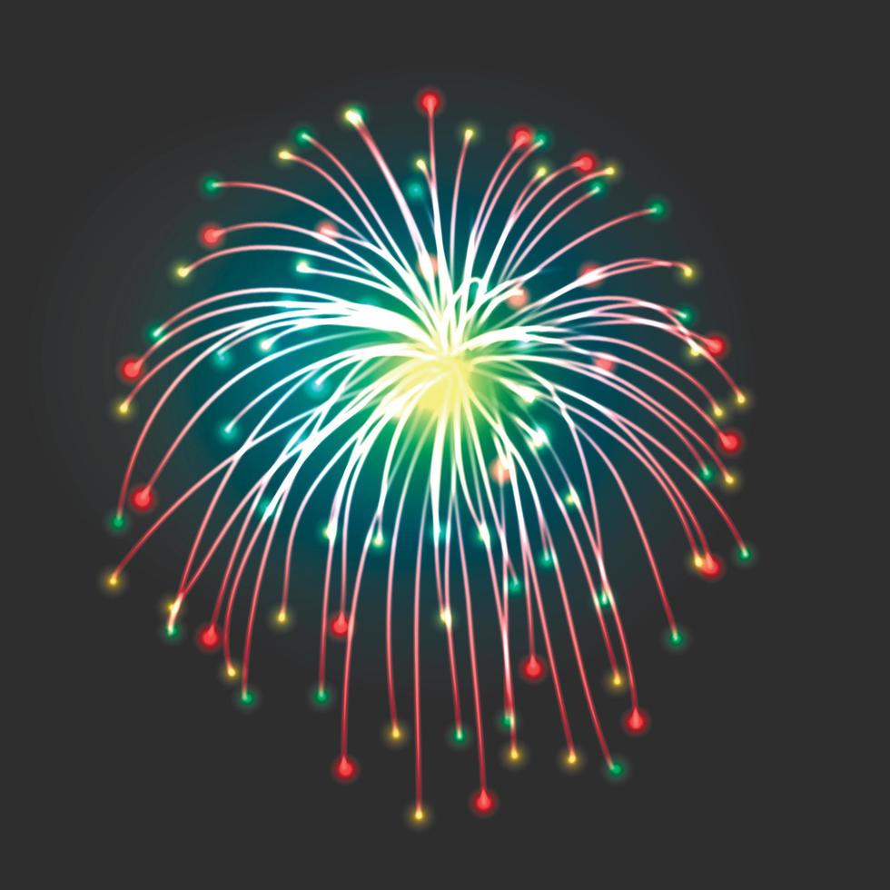 New firework sign vector