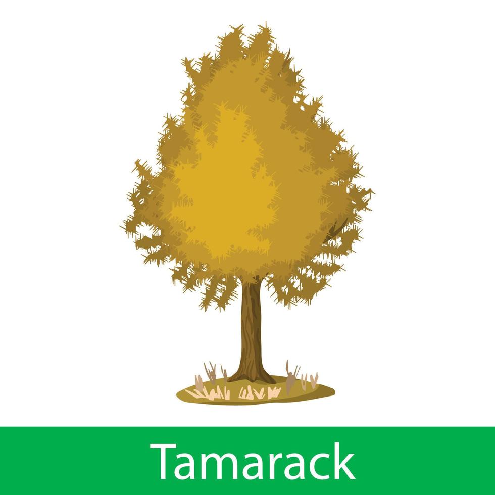 árbol de dibujos animados de tamarack vector