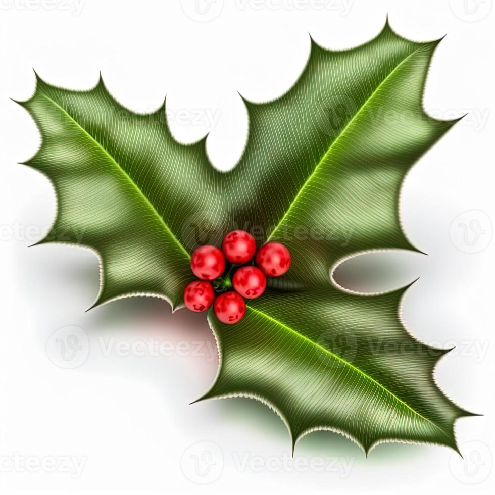 3d christmas holly leaf on isolated white background. Holiday, celebration, december, merry christmas photo