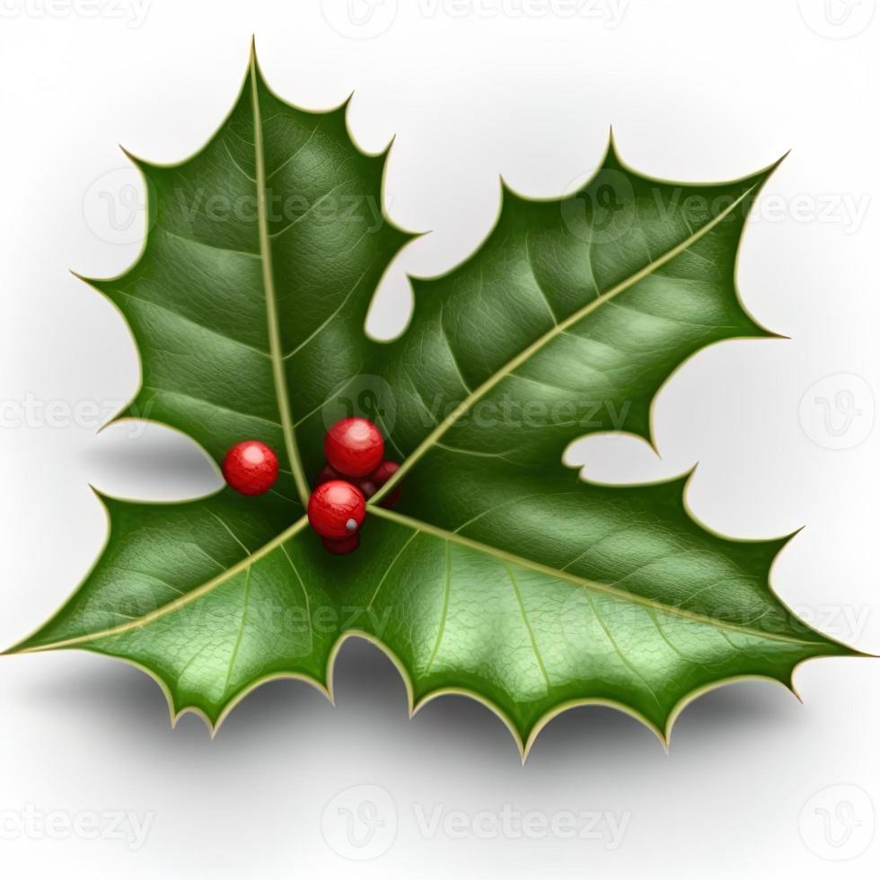 3d christmas holly leaf on isolated white background. Holiday, celebration, december, merry christmas photo