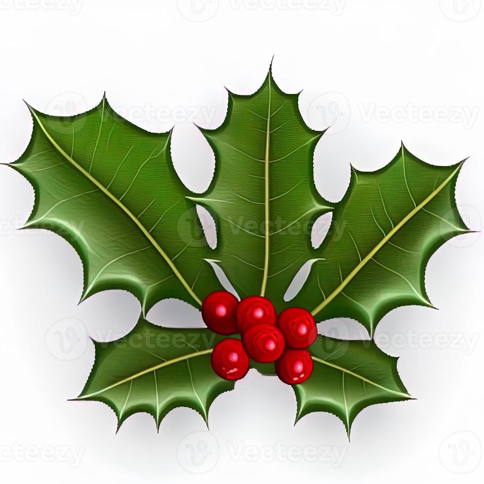 3d christmas holly leaf on isolated white background. Holiday, celebration, december, merry christmas photo