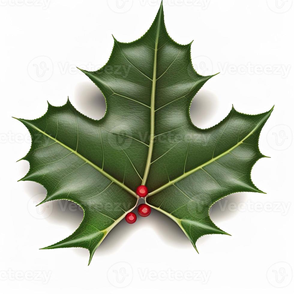 3d christmas holly leaf on isolated white background. Holiday, celebration, december, merry christmas photo