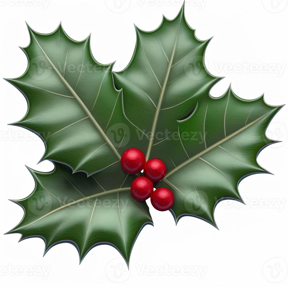 3d christmas holly leaf on isolated white background. Holiday, celebration, december, merry christmas photo